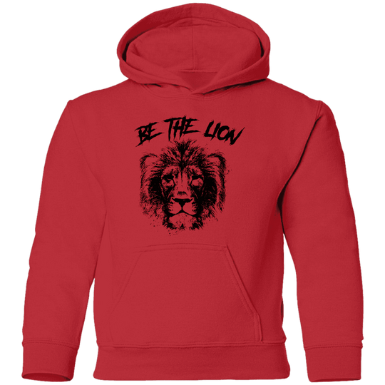 Boy's Hoodie